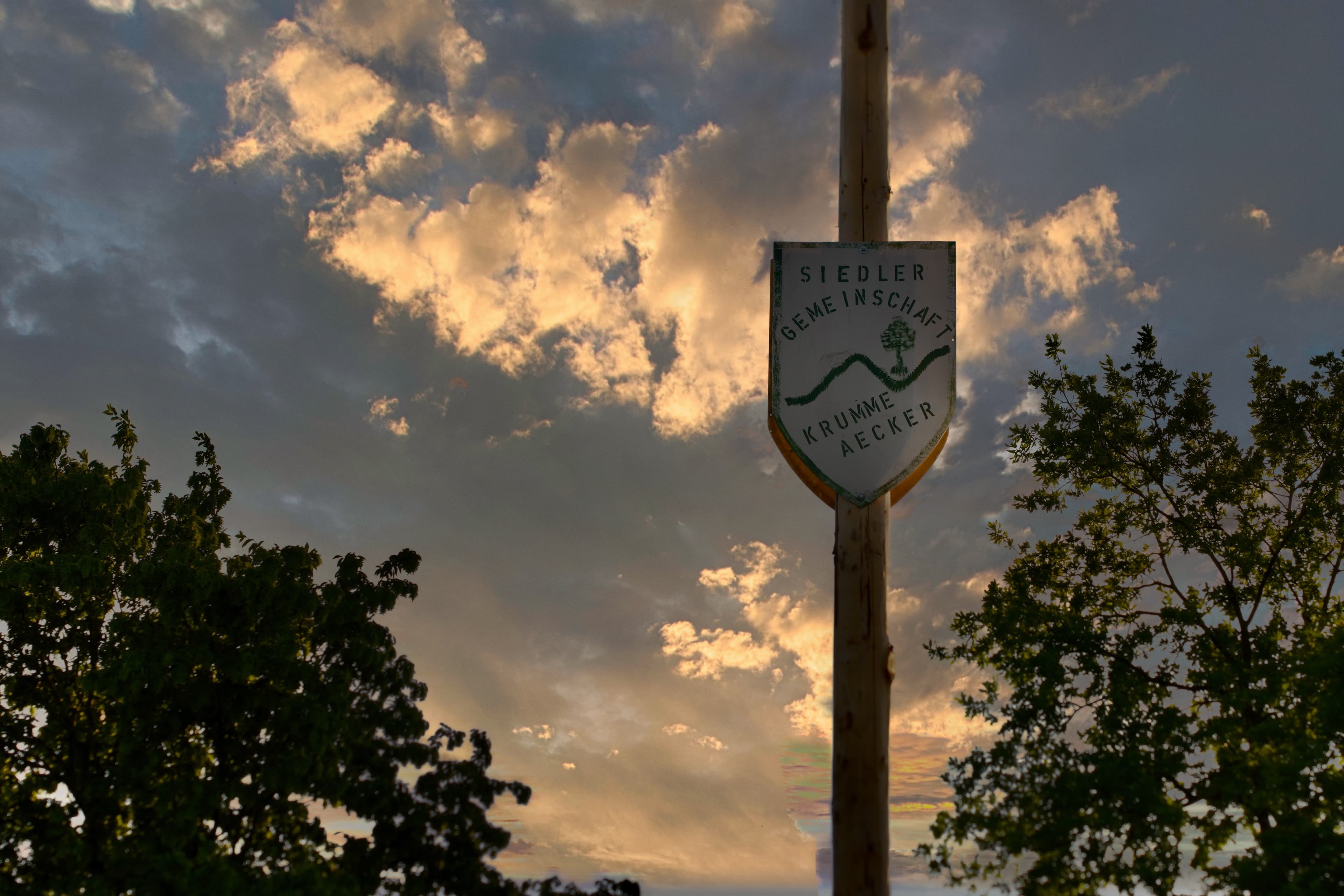 Maibaumfest